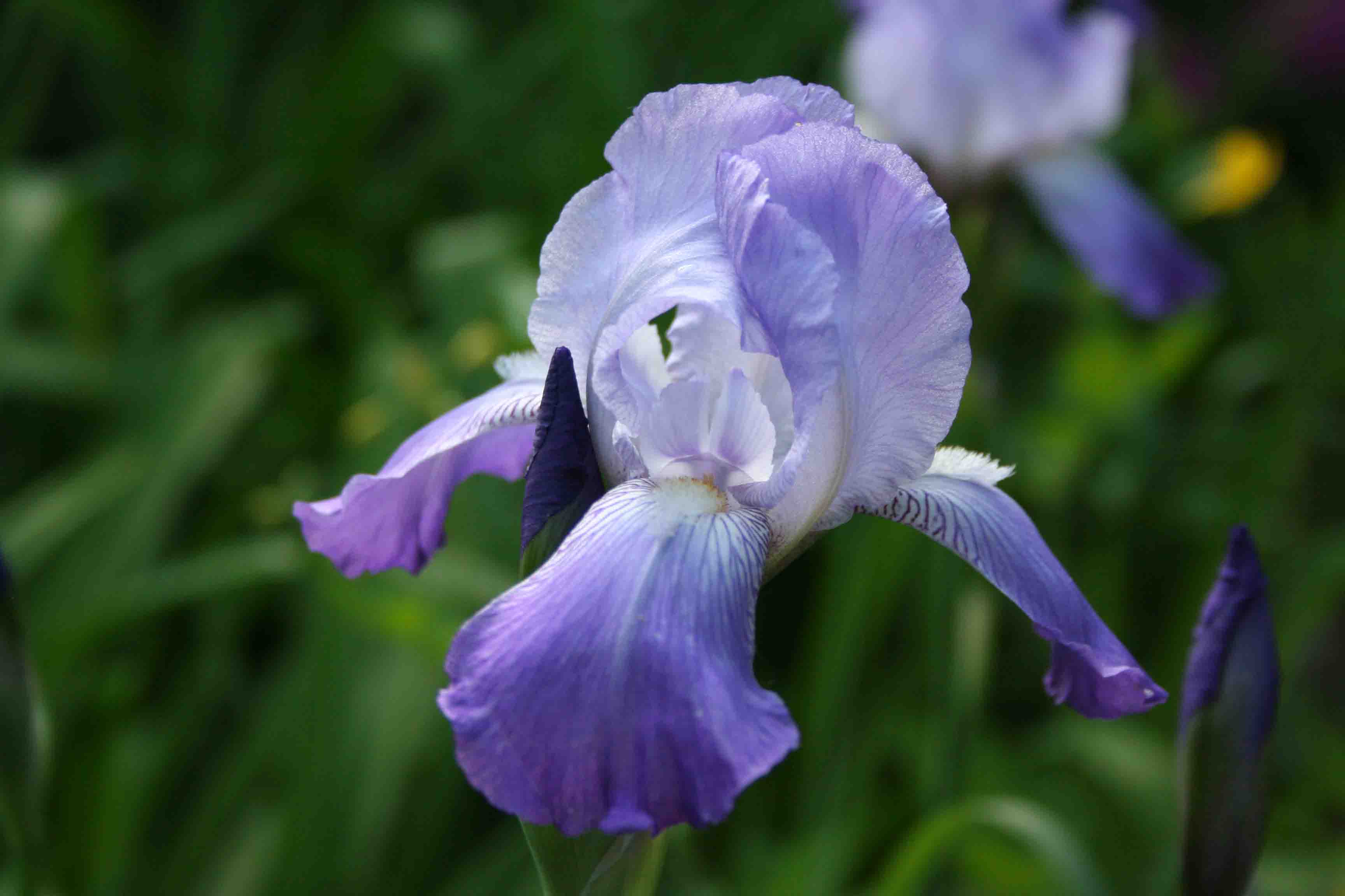 Moody's Nursery in Saco, Maine GARDEN CENTER