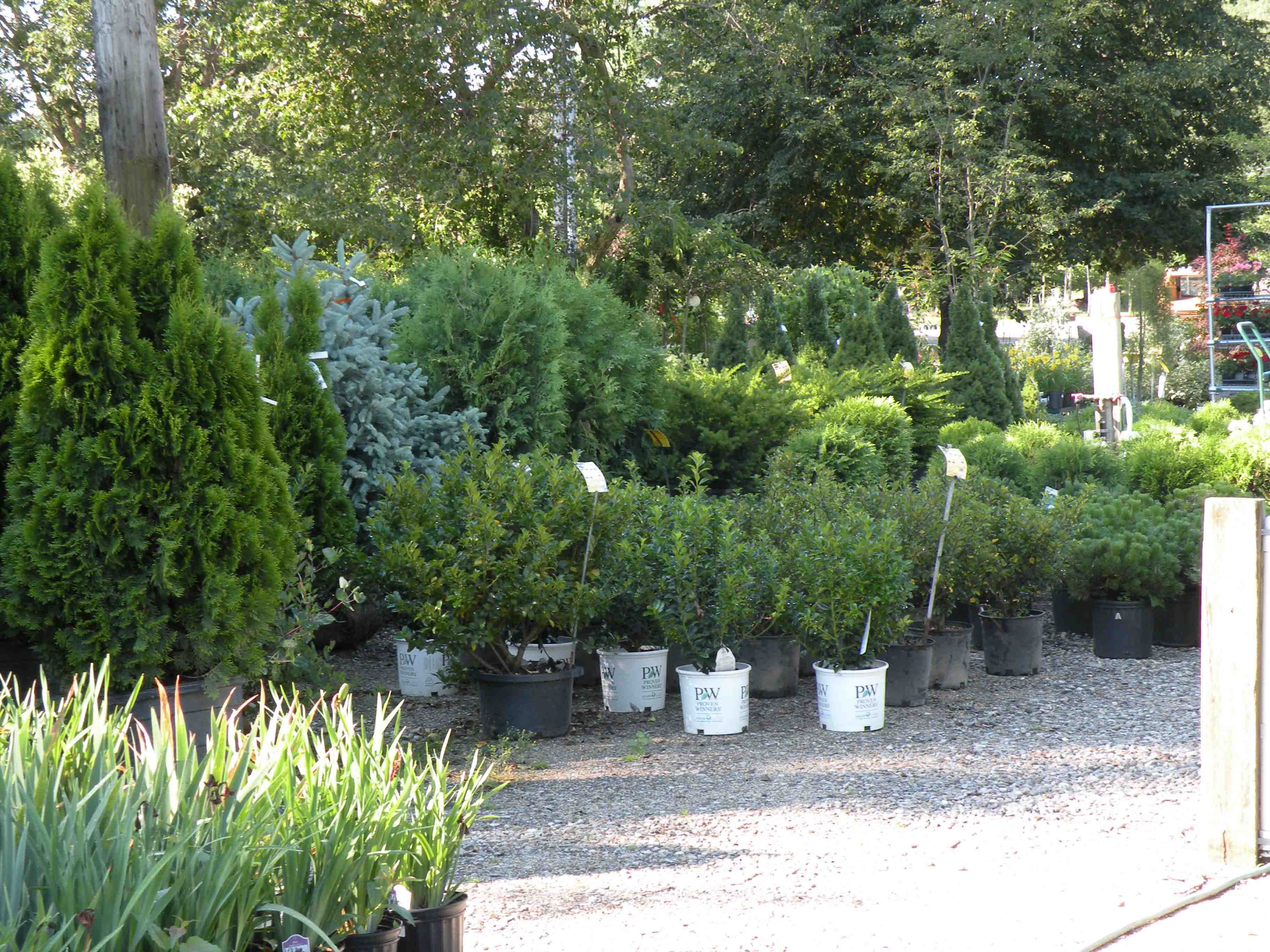 Moody's Nursery in Saco, Maine - GARDEN CENTER
