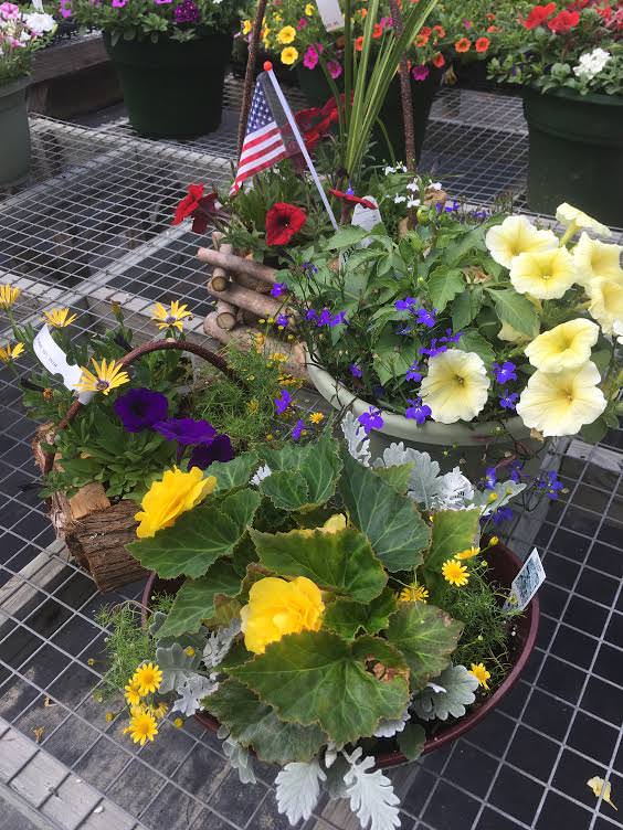 Moody's Nursery in Saco, Maine NEW ARRIVALS & SALE ITEMS